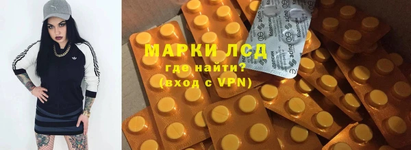 гашиш Богданович