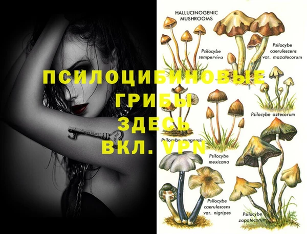 мдпв Бородино
