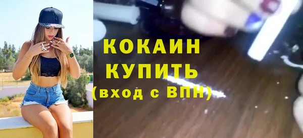 гидра Богородск