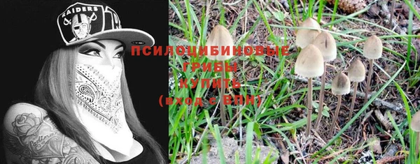 гашиш Богданович