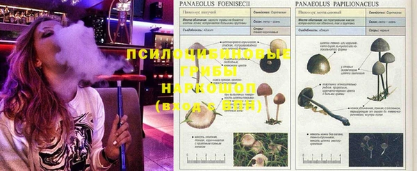 альфа пвп Беломорск