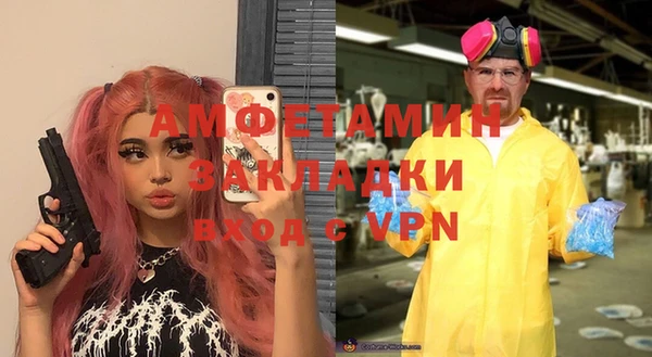 гидра Богородск