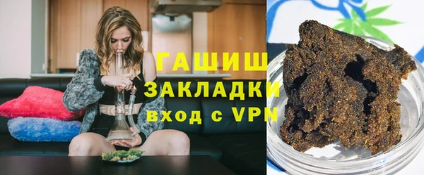 гидра Богородск
