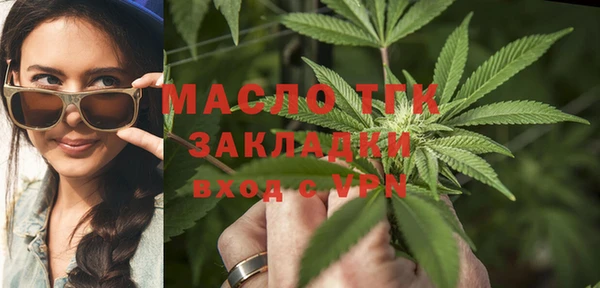 гидра Богородск