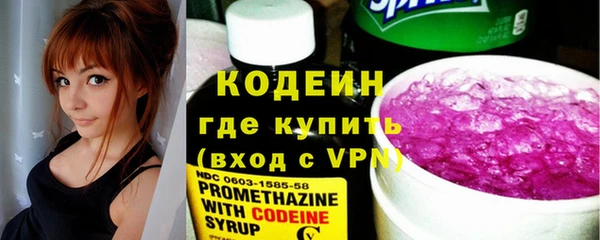 мдпв Бородино